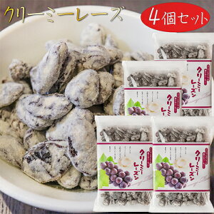 yzN[~[[Y 220g×4@Ԃǂ [Y َq َq   G