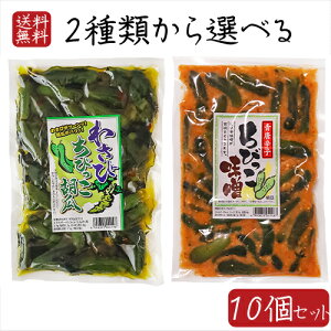 yz2ނIׂ10Zbg 킳ттӉZ 300g ӉZтX260g тLE 킳ьs 킳їt Е т̂ ܂ hqX hq т
