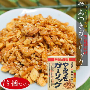 yz݂K[bN 72g×15Zbg tChK[bN \ ɂɂ ӂ肩 Xe[L [ T_ K[bNCX G