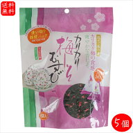 【送料無料】カリカリ梅しそむすび 48g(8g×6袋)×5個 カリカリ梅 青じそ 混ぜご飯の素 おにぎり お弁当 …