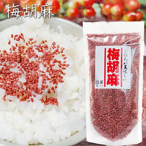 ~Ӗ 150g ~ӂ肩 т̂ ٓ ɂ T_ `[n pX^ `bNt X^hpbN G