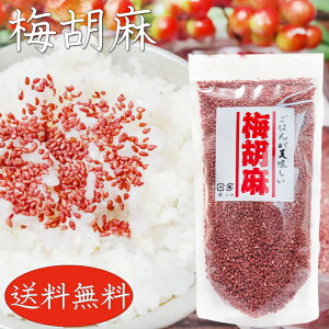 yz~Ӗ 150g ~ӂ肩 т̂ ٓ ɂ T_ `[n pX^ `bNt X^hpbN G