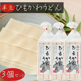 【送料無料】ひもかわうどん 380g (4人前)×3個 半生うどん 群馬県産小麦粉使用 つけ麵 かけうどん 煮込みうどん 季折