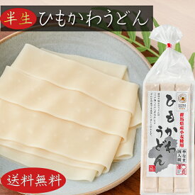 【送料無料】ひもかわうどん 380g (4人前)半生うどん 群馬県産小麦粉使用 つけ麵 かけうどん 煮込みうどん 季折