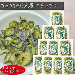 yzイ̐Ђ`bvX z 40g×10 ӉZ`bvX  ܂ ς Еَ̂q  G