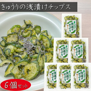 yzイ̐Ђ`bvX z 40g×6 ӉZ`bvX  ܂ ς Еَ̂q  G