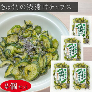 yzイ̐Ђ`bvX z 40g×4 ӉZ`bvX  ܂ ς Еَ̂q  G