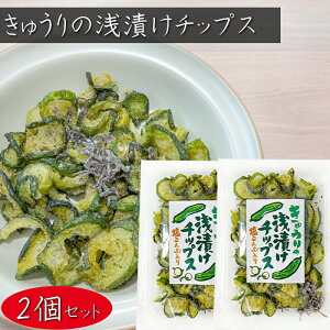 yzイ̐Ђ`bvX z 40g×2 ӉZ`bvX  ܂ ς Еَ̂q  G