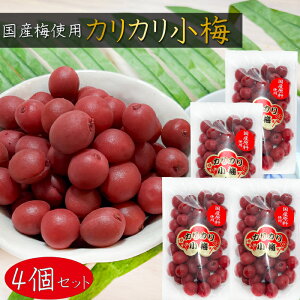 yzY~gp JJ~ 200g×4 JJ~ Y E ~ Ygp  ٓ ɂ т̂ ܂ G