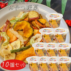 yz 120g×10 ؃`bvX ʕ`bvX oii`bv 8ނ̃`bvX hCt[c َq q}≖ ׂɉ ʉَq S[`bvX Tc}C`bvX W