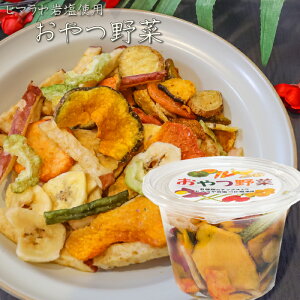  120g ؃`bvX ʕ`bvX oii`bv 8ނ̃`bvX hCt[c َq q}≖ ׂɉ ʉَq S[`bvX Tc}C`bvX WKC G