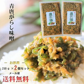楽天市場 青唐辛子味噌の通販