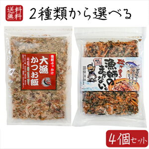 yzCNӂ肩2ނIׂ4Zbg 務45g t̂܂Ȃ 67.6g(50gApbN8.8g×2) Y Ђ̑f   т̂  