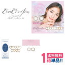 エバーカラーワンデー ナチュラル モイストレーベル UV 【1箱】(1箱20枚入) 度あり 度なし 1日使い捨て カラーコンタクトレンズ カラコン【ポスト便送料無料】