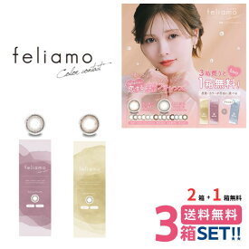 【2箱+1箱無料キャンペーン】【合計3箱セット】 feliamo フェリアモ (1箱10枚入)【ポスト便 送料無料】【同梱不可】 一日使い捨て ワンデー カラコン カラーコンタクトレンズ 白石麻衣 UVカット 14.2mm 14.5mm 度あり 度なし 1day フチなし PIA