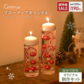 【超特価50％OFF】 キャンドル クリスマス フローティングキャンドル フローティアキャンドル キャンドル 手作り キット アレンジ おしゃれ クリスマス ギフト プレゼント 北欧 装飾 ディスプレイ 手作りキット ハンドメイド 手作り 簡単 [S/M] [Caddrue]