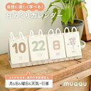 ＼レビュー投稿で追加イベントカード／ 日めくりカレンダー 知育 カレンダー 日めくり 子供 卓上 万年カレンダー 万年…