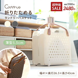 y35802480~z [|I]] h[oXPbg ܂肽 h[obO 󂩂 X e  RpNg @ ȃXy[X y y [   W