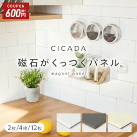 楽天市場】【7/19-26限定600円OFFクーポン】 磁石がくっつく 