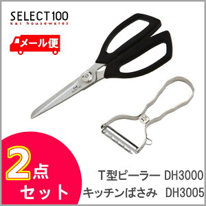 Lb`΂&T^s[[ L ZNg100 DH3005 DH3000Lb`oT~  nT~  select100 XeXs[[ ނ XeX Lb`pi ނ  JjysE