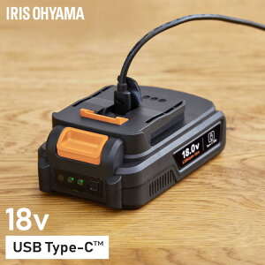 dH 18V }`MAp obe[ 2000mAh `ECI USB type-C [d CpNghCo[ dhCo[ H DIY  ㋉ ǉ IvV ʔ ACXI[} DBL1820C *