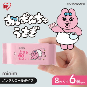 ウェットティッシュ ノンアルコール 持ち運び 携帯 除菌シート 48枚 ミニ 流せる キャラクター おぱんちゅうさぎ アウトドア お出かけ ウェットシート 掃除 おしりふき ウエットティッシュ