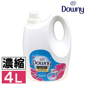 _Ej[ TCYtbV 4L _ Zk^Cv ߗp_ TCY tbV 4L×1{ Downy Sunrise downy e Zk Zk^Cv {   t {g A_ t _