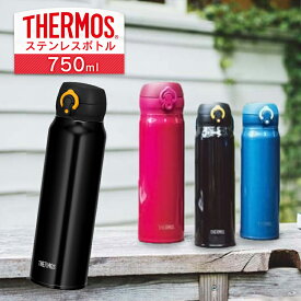 アグネスグレイ ファンタジー 短命 サーモス 水筒 0 75 Marumiya M Jp