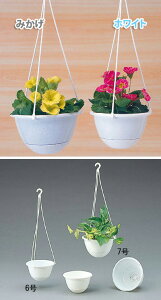 ݂蔫Cg 6 K[fjO Ђt Aؔ | ^b`E bV\ |vs zCg ݂