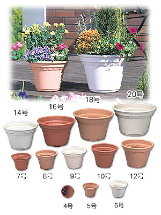 楽天市場】コルティポット 20号送料無料 鉢 鉢植え 植木鉢 