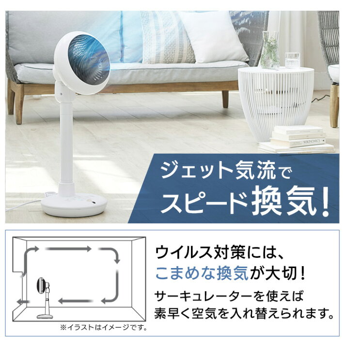 楽天市場】＼レビュー記入でクーポンプレゼント／ コンパクト 