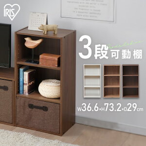 J[{bNX 3i W[{bNX MDB-3 ACXI[} er TV AV{[h bN ؐ I TVbN bN RpNg [P[X t[bN box uEI[N 