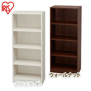 _r[LŃN[|v[g^ Xy[XtBbgbN(50×s29×120cm) S-SFR1250 S2F[ [I rO[ Lb`[ h[[ N[[bg[ {I }KW