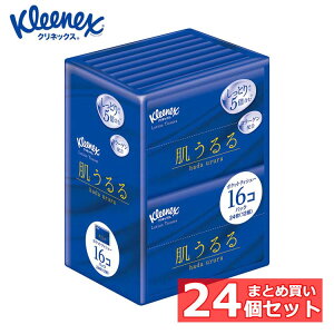 y24Zbgz|PbgeBbV [VeBbV ێ NlbNX eBV[ [V ێ  |PbgeBbV 12gi24j×16RpbN 47013|PbgeBbV 