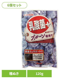 y6zTCY@ʎ@_ہ{v[ʂ120g hHi Shoei hCt[c  _ v[ ʂ \tg  