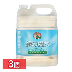 【3個セット】緑の魔女 ランドリー 業務用 5L ミマスクリーンケア送料無料 服 5000mL 液体洗剤 衣類用 大容量 ドイツ 洗濯洗剤 洗濯機 作業服 パイプクリーナー 排水管掃除 バイオ・ハイテク洗剤 大掃除 【D】