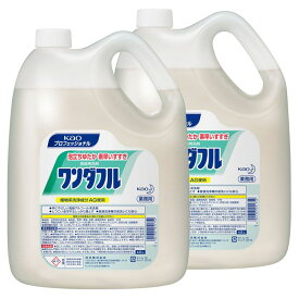 [2個セット]花王 洗剤 ワンダフル 4.5kg 4.6L送料無料 2本セット 業務用 洗剤 台所用合成洗剤 食器 植物系 洗浄機 AG Kao 前洗い プロフェッショナル 高級アルコール系 食器用中性洗剤 野菜 果物 食器 調理用具用 日本製【D】