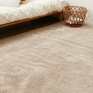 8����L�̍��@�\�J�[�y�b�g�@���N���A�@�]�ˊ�10�� 600094790�J�[�y�b�g ���O�}�b�g �O�~ �]�ˊ� �R�� �h�L ���L �z�b�g�J�[�y�b�g�Ή� ���r���O �}�b�g �x�[�W�� �O���[�� �O���[ �A�C�{���[