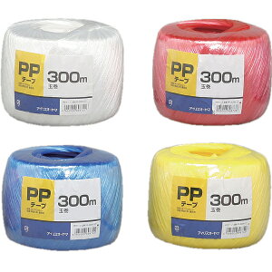 PPe[v@ʊ@PP|300HyACXI[}z