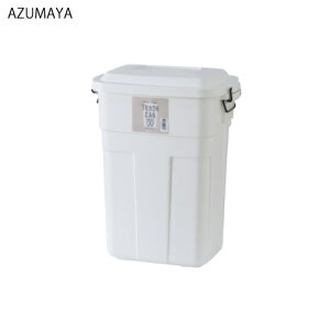 �yLINE�N�[�|���z�z���z�S�~�� �g���b�V���J�� 30L [LFS-934WH] W39×D27×H48.6(CM) ���J ���[�J�[����