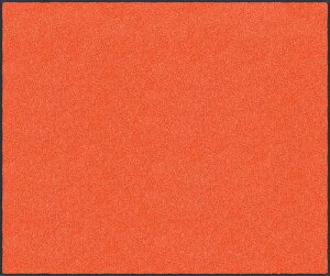 �yLINE�N�[�|���z�z���z�}�b�g �X�^���_�[�h�}�b�gS �I�����W 90 × 120 cm [AM00059] �N���[���e�b�N�X ���[�J�[����