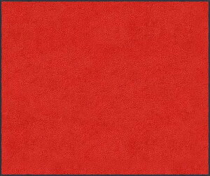�yLINE�N�[�|���z�z���z�}�b�g �X�^���_�[�h�}�b�gS ���b�h 90 × 150 cm [AM00079] �N���[���e�b�N�X ���[�J�[����