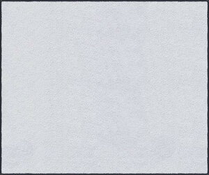 �yLINE�N�[�|���z�z���z�}�b�g �X�^���_�[�h�}�b�gS �z���C�g 50 × 75 cm [AM00187] �N���[���e�b�N�X ���[�J�[����