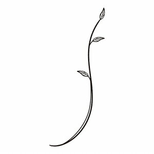 yLINEN[|zzz\DIvV fR[V u` [WS-20D] Pi ZNtg [J[