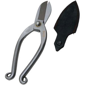  XeXrVV g  165MM [4977292630528] Y [J[