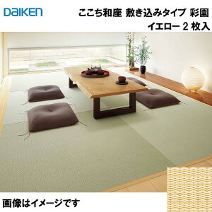 yLINEN[|zzza a ~݃^Cv 2 匚 DAIKEN [YQ5002-2] ʉ CG[ 12mm 880×880mm n̗Ƃݕsv a_ u [J[