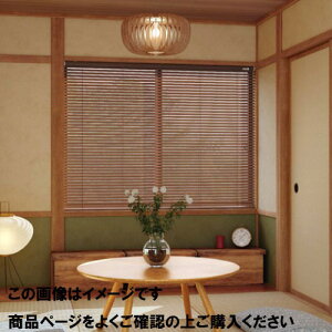 �yLINE�N�[�|���z�z���z�E�b�h�u���C���h 25mm���X���b�g�|�[������ ��181~200cm×����30~80 [UB25P30-80-181-200] �u���C���h�J�[�e�� �^�`�J�� ����@�H ���[�J�[����