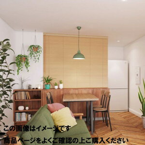 �yLINE�N�[�|���z�z���z�E�b�h�u���C���h 25mm���X���b�g���[�v���� ��141~160cm×����50~80 [UB25R50-80-141-160] �u���C���h�J�[�e�� �^�`�J�� ����@�H ���[�J�[����