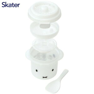 у[J[ 1 ~btB[ UDG1 dqW XP[^[ Skater [4973307530173] ƂĂg t y