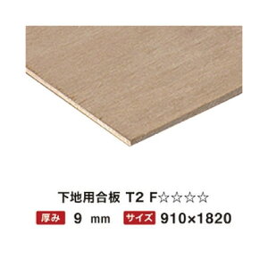 np T2 9mm 910×1820 F y֐ꕔn菤iz